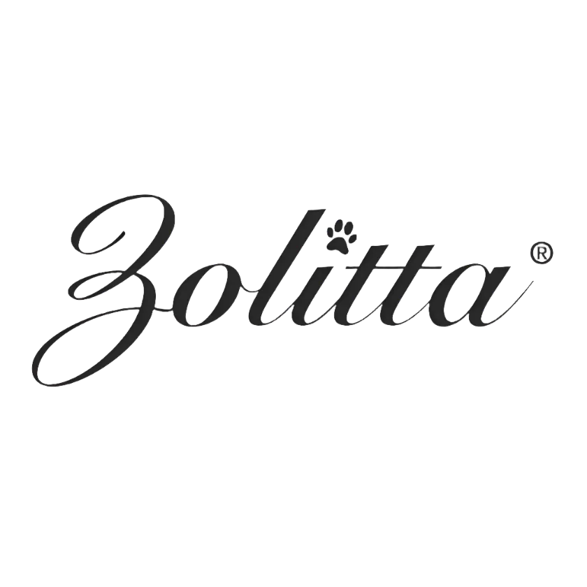 9.5'' Ellipse Comb Purple by Zolitta