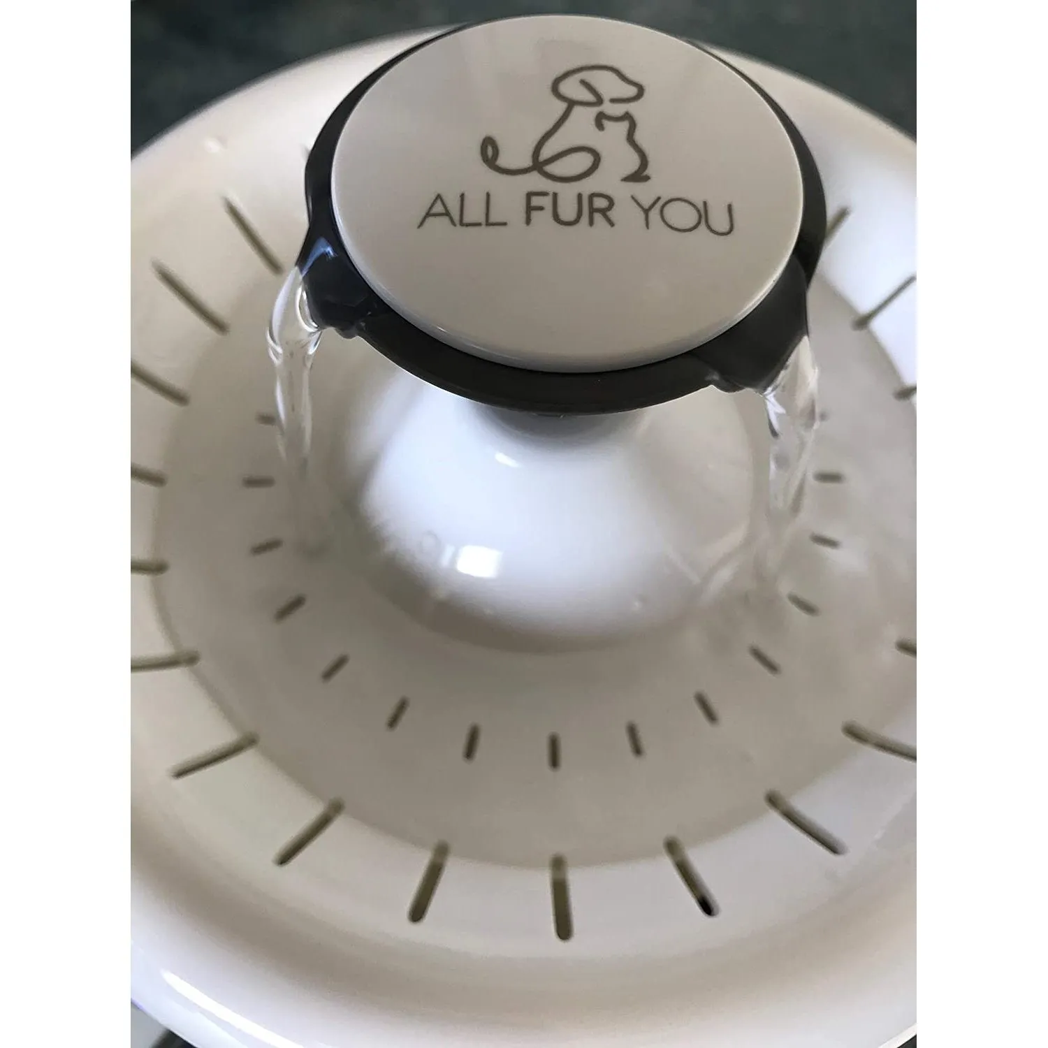 All Fur You Whisper Water Fountain^^^