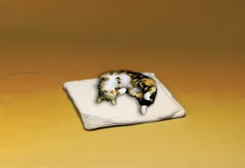 API Small Heated Pet Bed | Machine Washable Electric Pet Bed, Great for Dogs, Cats, and Other Pets and Animals