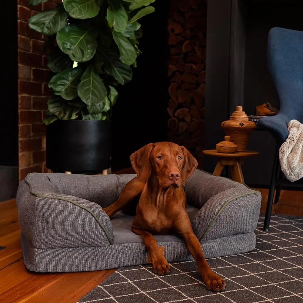 Buddy & Belle Orthopedic Lounge Dog Bed Steel Grey