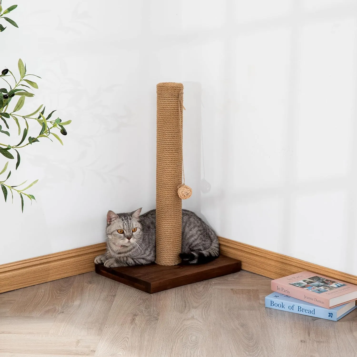 Cat Scratching Posts for Indoor Cats, Solid Wood Kiity Post Scratcher, Tall 22 Inch-1 Pillar, Sisal Material Natural