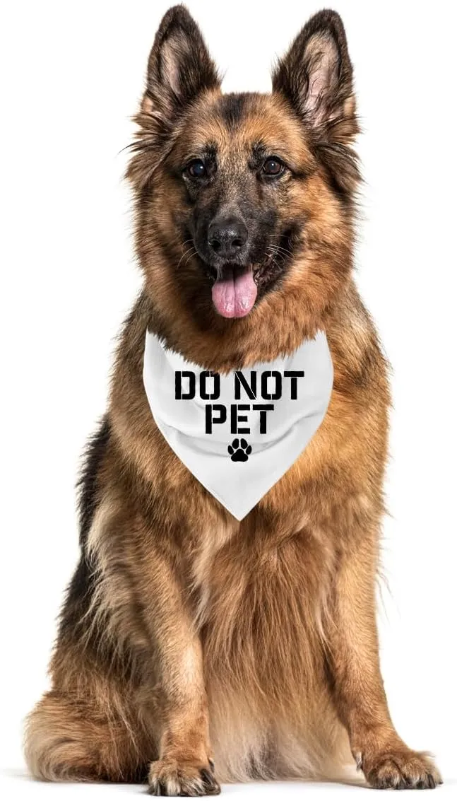 Do Not Pet Dog Bandana, Service Dog Bandana, Service Dog in Training, Service Dog Accessories, Nervous Dog Vest, Do Not Touch Dog Vest, Reactive Dog, Service Dog Stuff (C46)