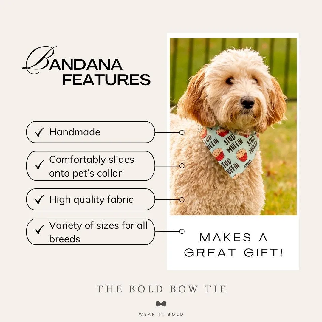 Dog Bandana or Cat Bandana- Light Boho Pumpkin