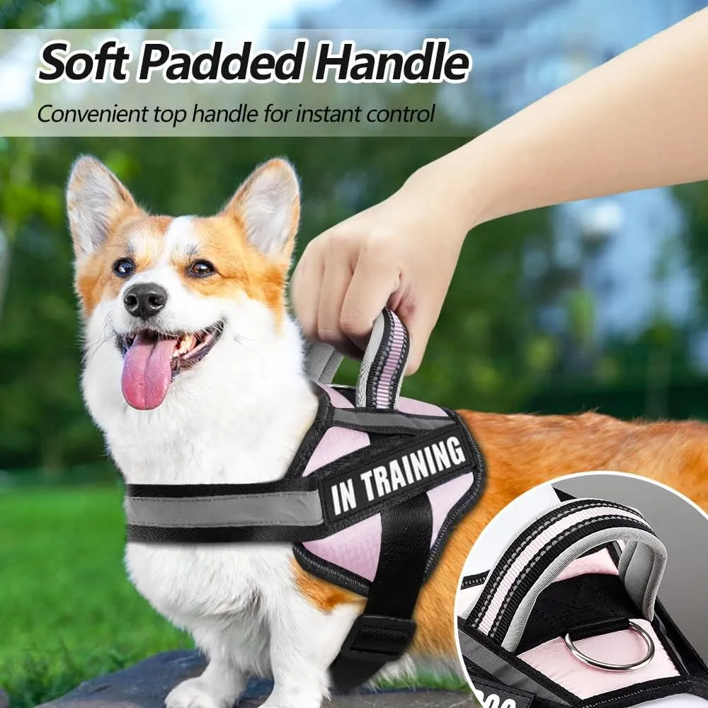 Dog Vest Harness and Patches Set, Animire in Training Service Dog Harness with 10 Dog Patches, Reflective Dog Vest with Handle for Small, Medium, Large, and Extra-Large Dogs