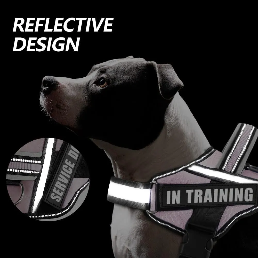 Dog Vest Harness and Patches Set, Animire in Training Service Dog Harness with 10 Dog Patches, Reflective Dog Vest with Handle for Small, Medium, Large, and Extra-Large Dogs