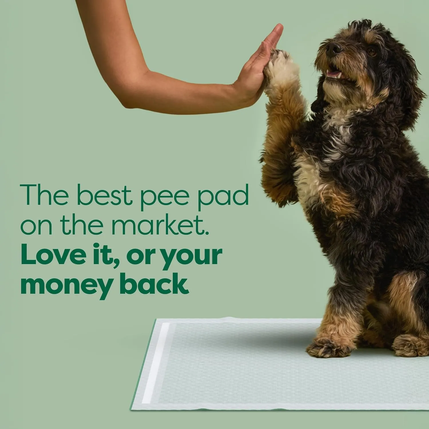 Earth Rated 3-in-1 Max Absorbency Puppy Pee Pads for Dogs, Odor Blocking, Leak Prevention Potty Training Pad, XL, 28 x 34 Inches, 40 Count