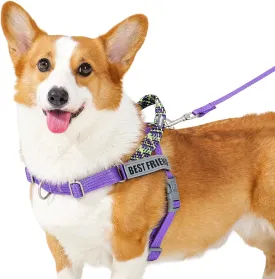 Easy Walk Dog Harness and Leash Set, Freedom No Pull Harness with 2 Patches,Escape Proof/Quick Fit to Adjust Dog Vest Harness,Easy for Training Walking for Small,Medium & Large Dogs(Purple,M)