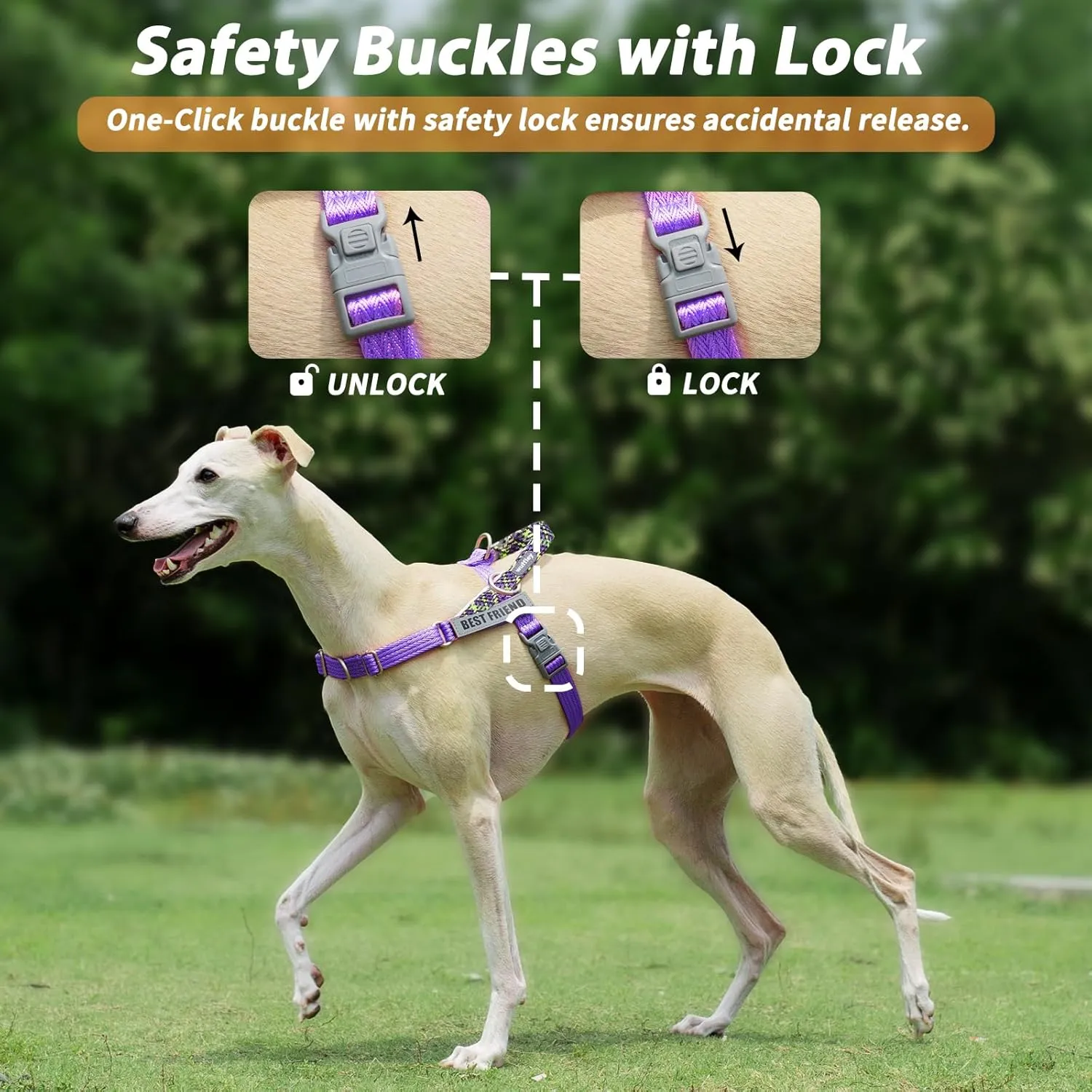 Easy Walk Dog Harness and Leash Set, Freedom No Pull Harness with 2 Patches,Escape Proof/Quick Fit to Adjust Dog Vest Harness,Easy for Training Walking for Small,Medium & Large Dogs(Purple,M)