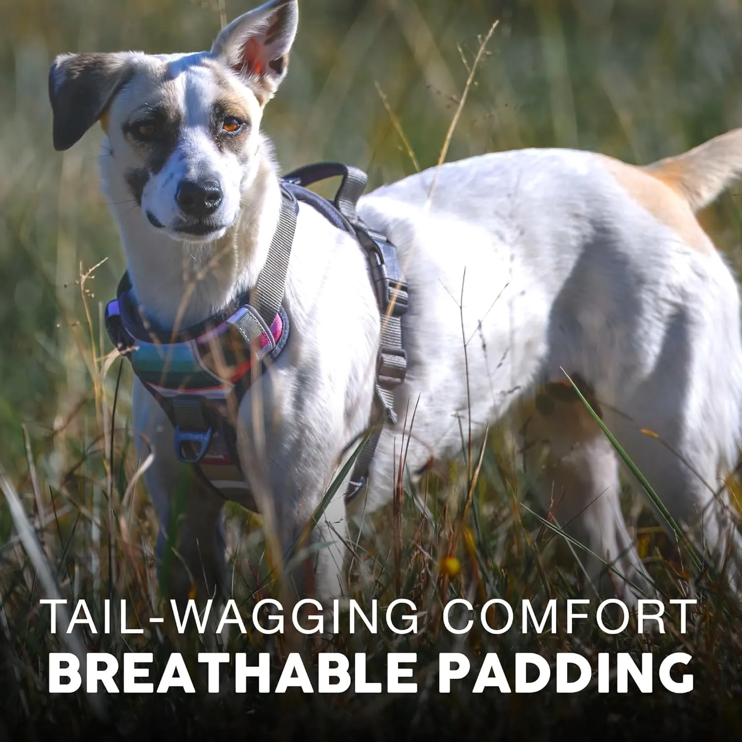 Embark Adventure Dog Harness, No-Pull Reflective Trim Dog Harness for Small, Medium & Large Dogs - Heavy Duty Oxford, 2 Leash Clips & Gel Lined Handle. Soft & Padded Puppy Dog Vest for Any Breed
