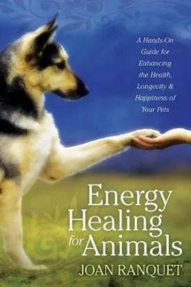 Energy Healing for Animals