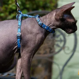 Eyes Cat Harness