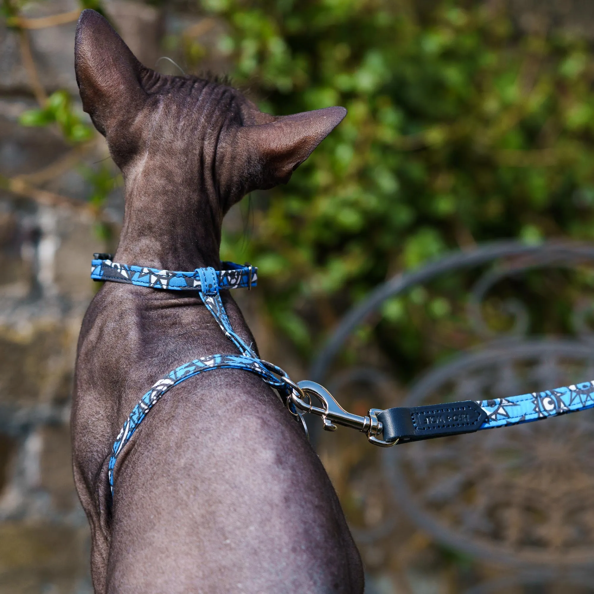 Eyes Cat Harness