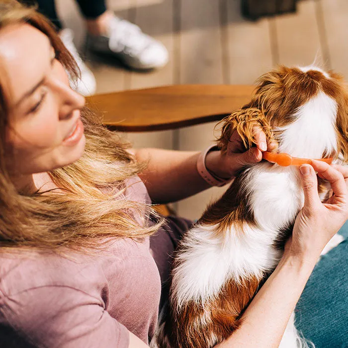 Flea & Tick Collar for Dogs with Natural Essential Oils