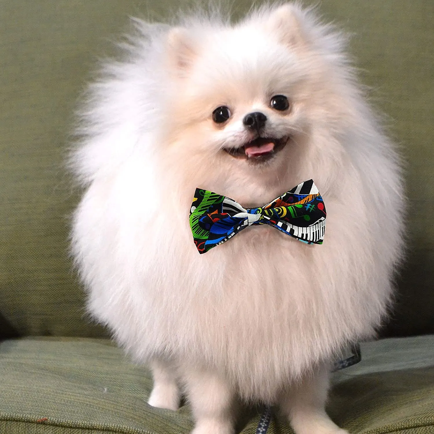 Goofy Tails | Summer Staycation Bows by Design Chefz Dog Bowtie/Bandana |for Dogs and Cats (Blue, Music Design)
