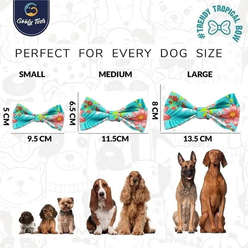 Goofy Tails |Summer Staycation Bows by Design Chefz Dog Bowtie/Bandana |For Dogs and Cats (Design-Trendy Tropical)