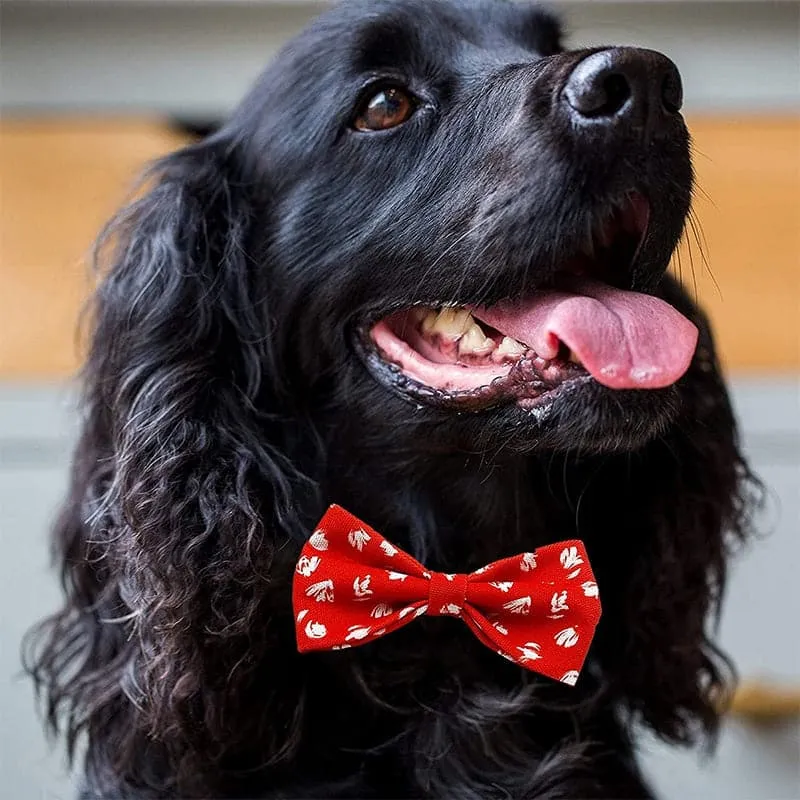 Goofy Tails X Design Chefz Summer Staycation Pet Bow Tie/Bowtie for Dogs & Cats (Kisser Design, Red)