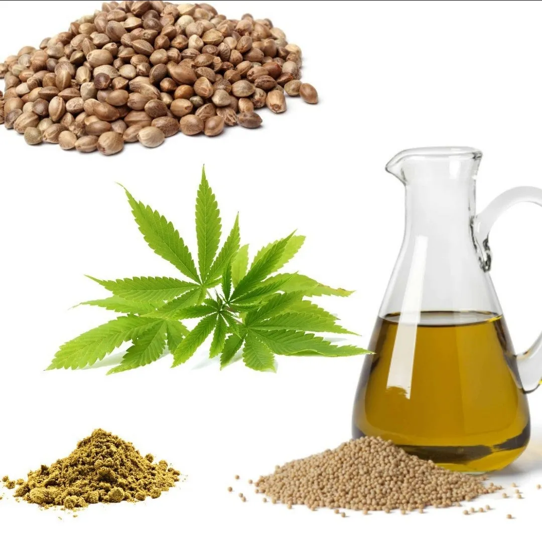 Hemp Seed Oil