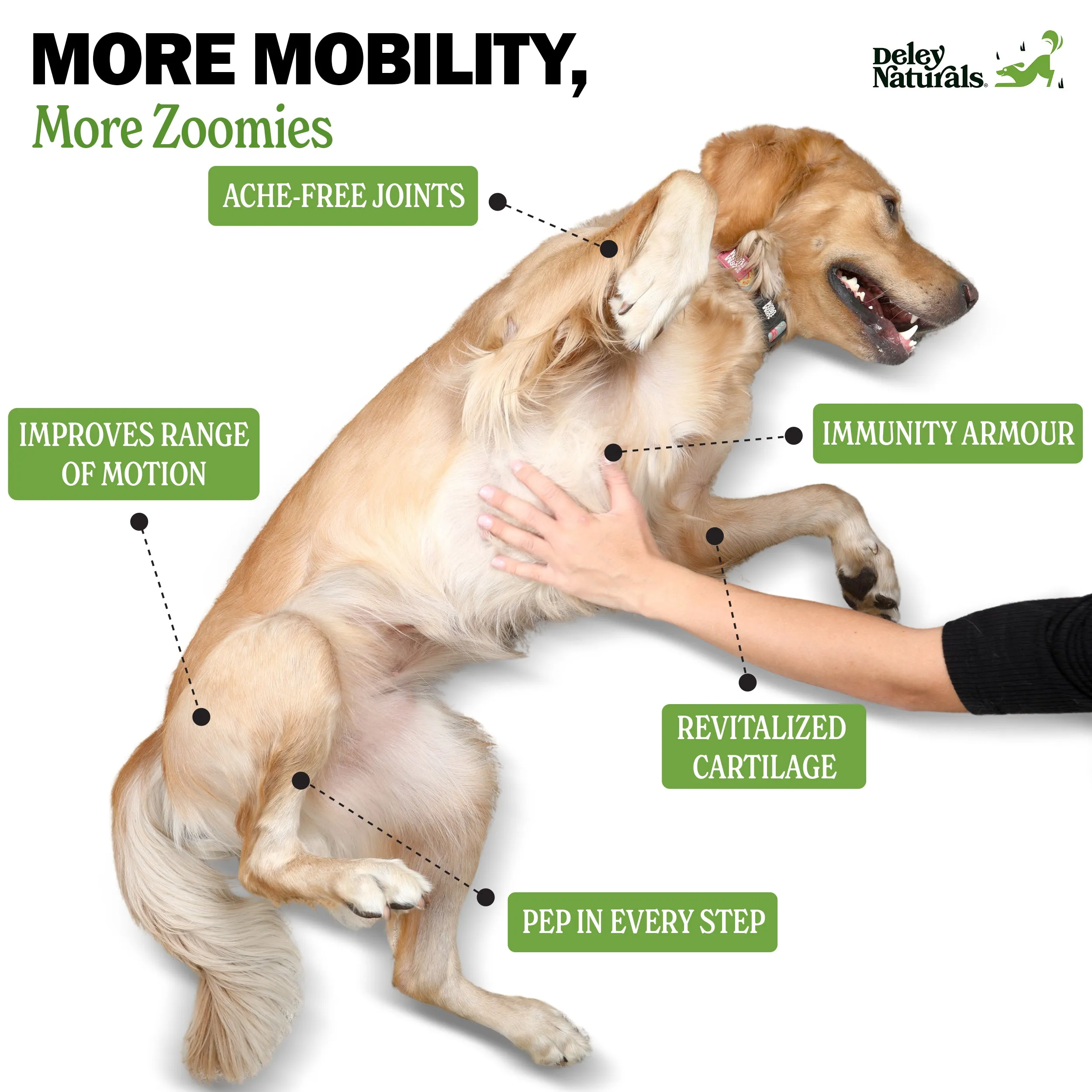Hip & Joint Supplement for Dogs