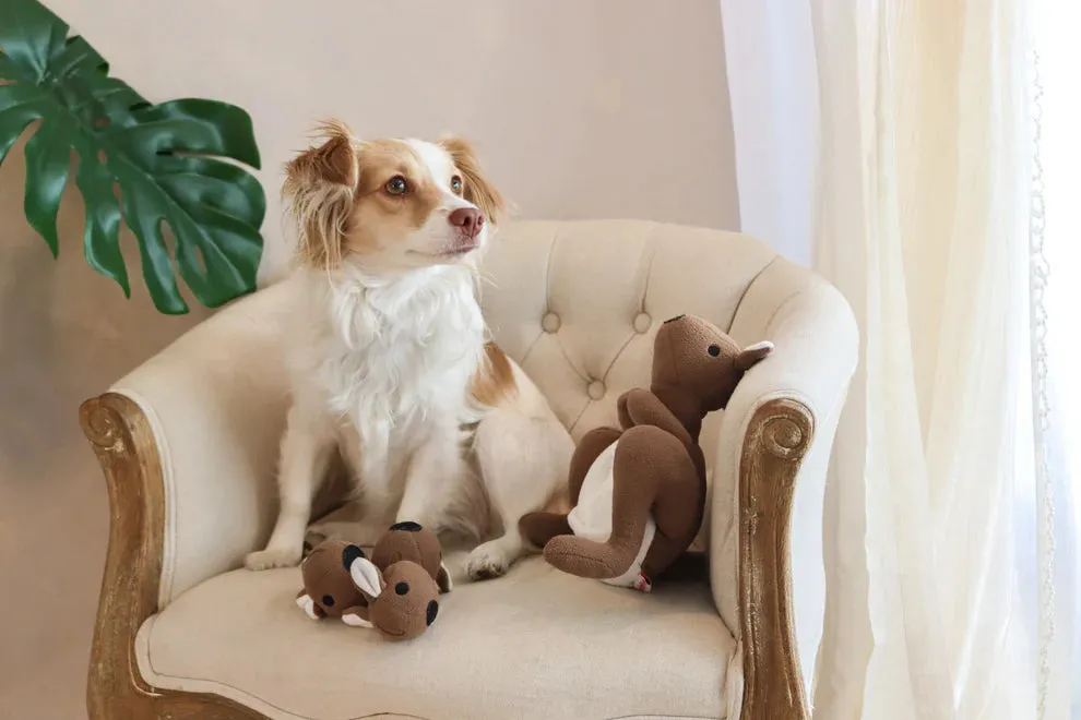 Injoya - Snuffle Toy - Joey Pouch