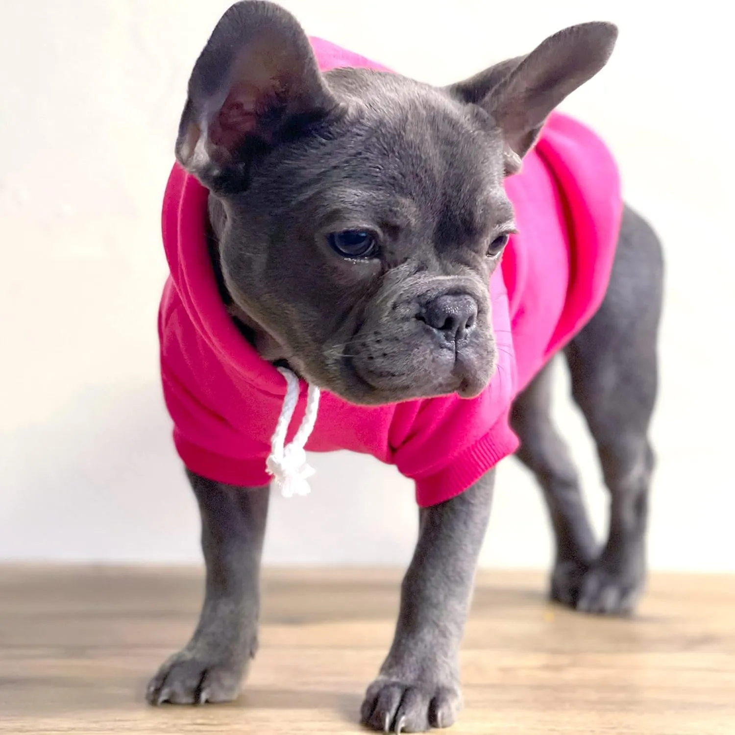 Mama's Boy Mother's Day, Valentine's Day Pullover Fleece Lined Dog Hoodie with Leash Hole (Red Hooded Sweatshirt)