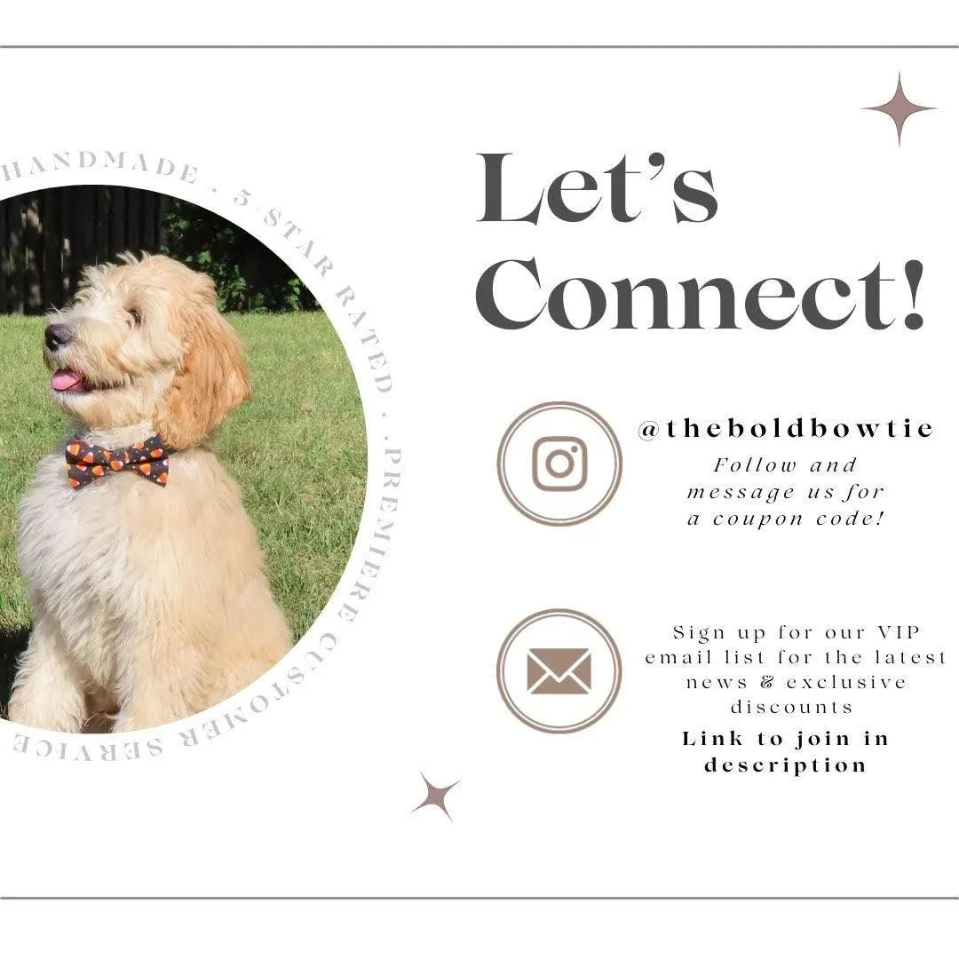 Official Turkey Taster Thanksgiving Bow for Dog Collar and Cat Collar