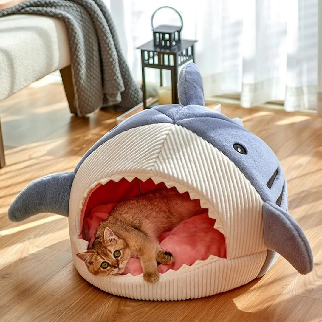 Pat and Pet Emporium | Pet Beds | The Shark Pet Bed