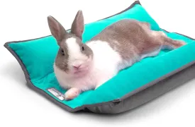 Paw Inspired Snuggle Bunny Bed for Rabbits, Cats, Dogs and Other Small Pets and Animals | Reversible Fleece Bedding with Padded Sides (Gray/Green)