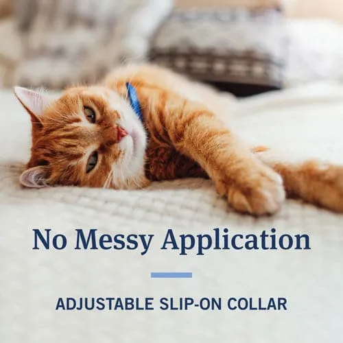 PetArmor® Flea & Tick Collar for Cats