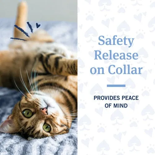 PetArmor® Flea & Tick Collar for Cats
