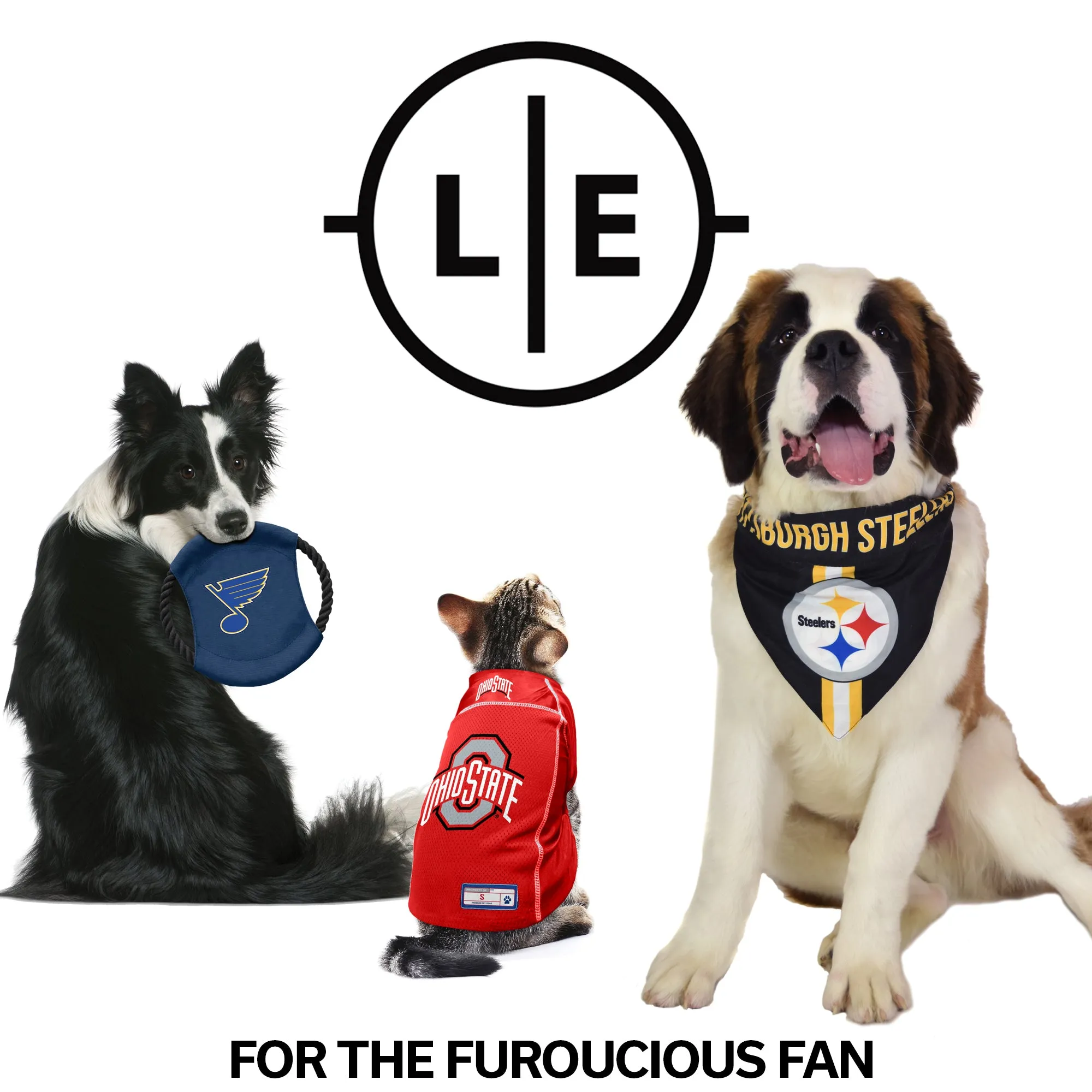 Pittsburgh Steelers Home and Away Pet Bandana Set