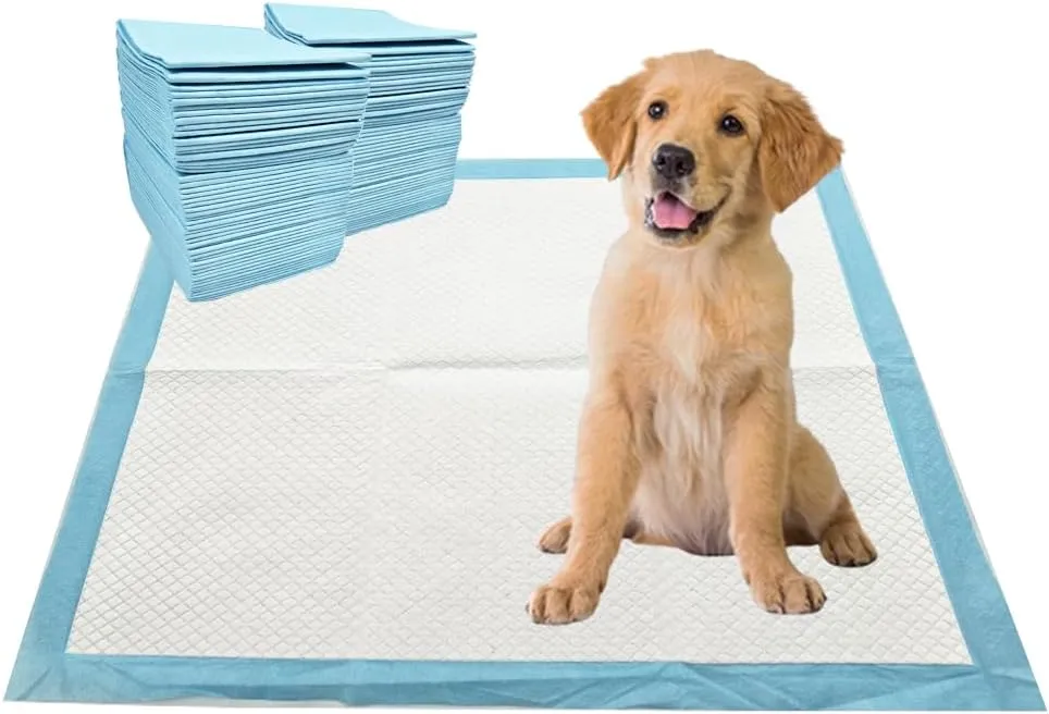 Puppy Pee Pads, 100 Count - 22 x 22 Inch Dog Training Pads, Leak-Proof Quick Absorb 6-Layer Design for Pet Potty Training, Ideal for Puppies, Cats, Rabbits, and Guinea Pigs