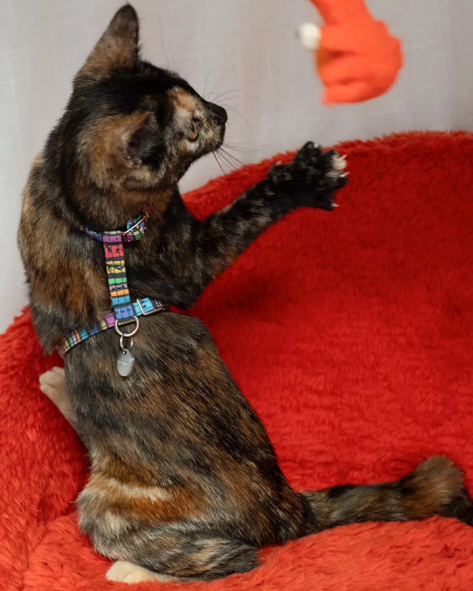 Rainbow Stripe Cat Harness