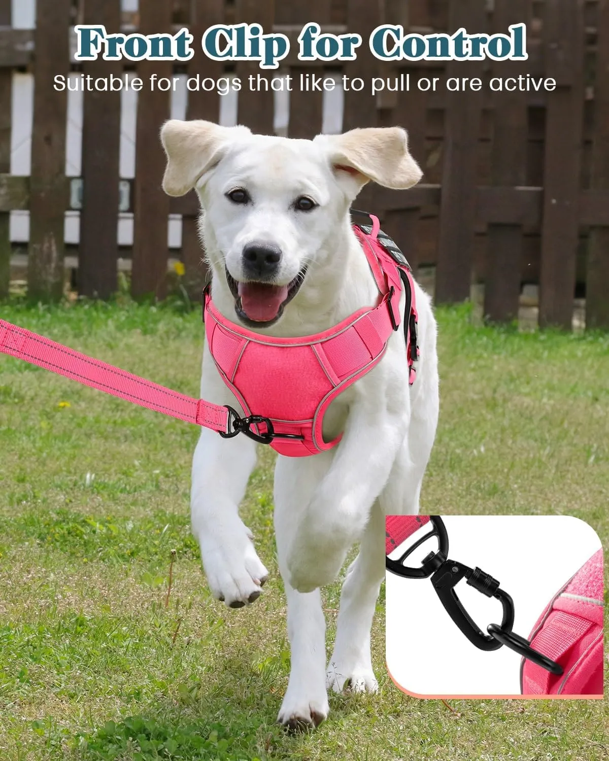 Reflective Pink Service Dog in Training Vest Harness Leash Set for Extra Large Dogs, Adjustable Heavy Duty Padded Dog Harness, with Front Clip and Metal Buckles Do Not Pet for Training, Hiking