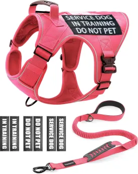 Reflective Pink Service Dog in Training Vest Harness Leash Set for Extra Large Dogs, Adjustable Heavy Duty Padded Dog Harness, with Front Clip and Metal Buckles Do Not Pet for Training, Hiking