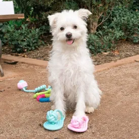 Rope and Slippers Chew Toy Set for Pets-Wholesale