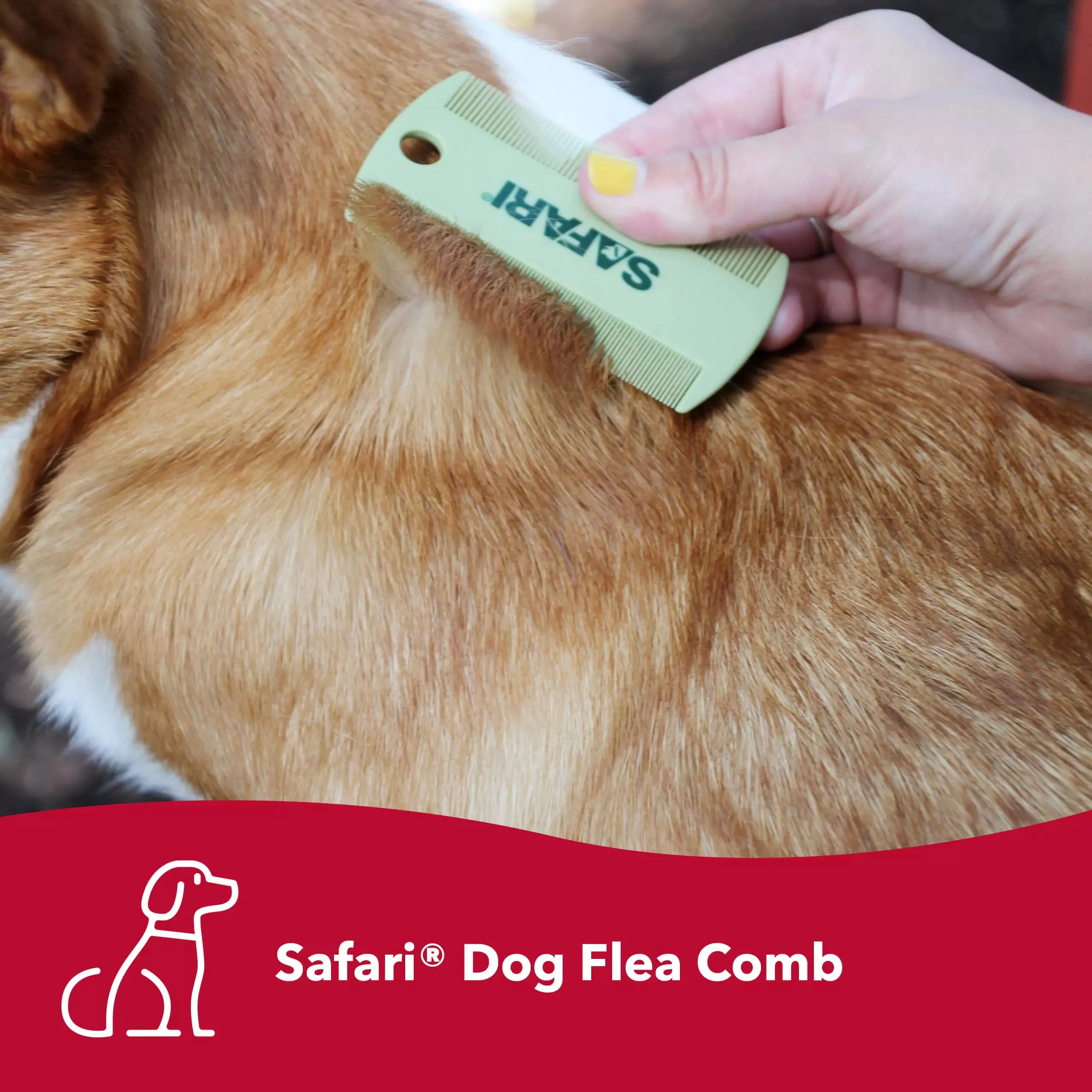 Safari Flea Comb