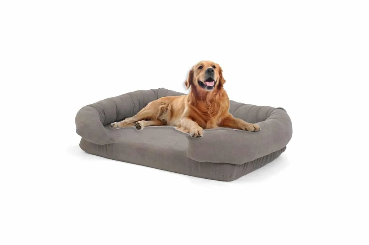 Soft Foam Pet Couch - Rabbinic