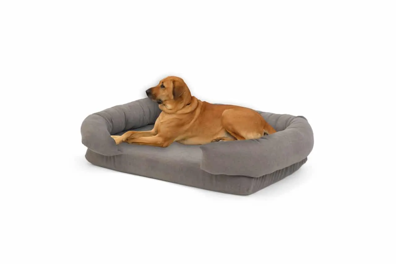 Soft Foam Pet Couch - Rabbinic