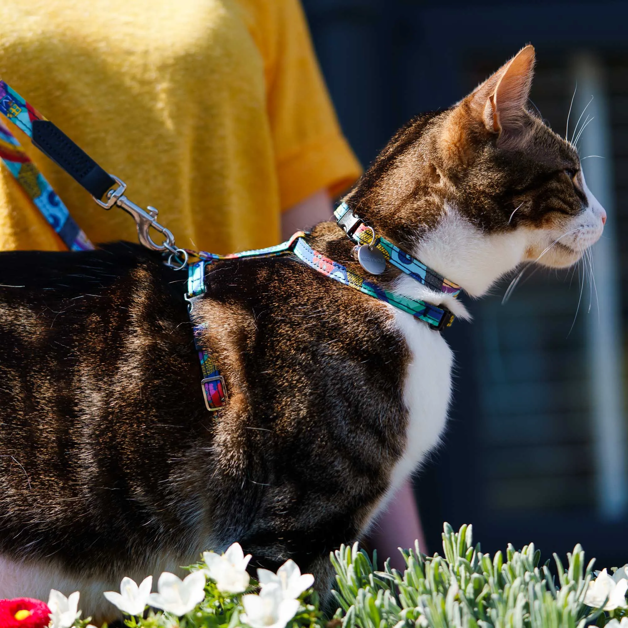 Wizard of Dog Cat Harness